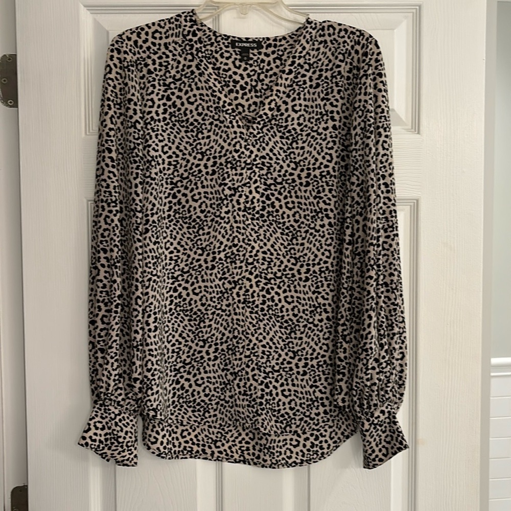 Express Blouse